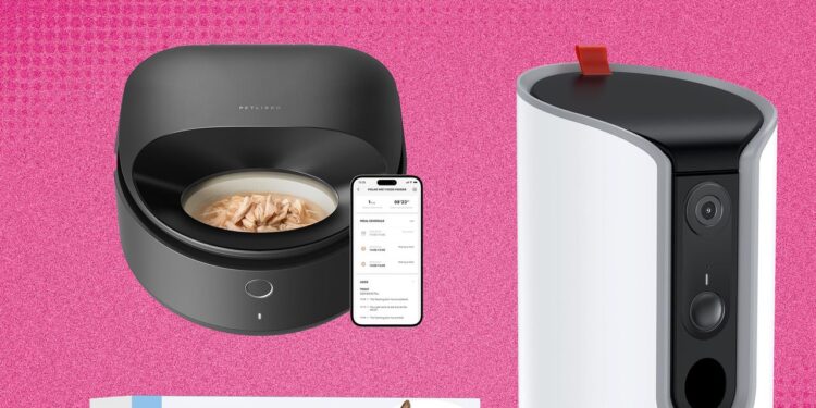 The 24 Best Amazon Pet Day Deals (2025)