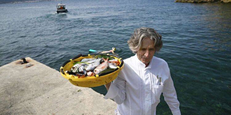 A Food Lover’s Guide to France’s Gastronomic Valley