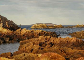 Argentina’s Newest Park Is the Size of Yosemite National Park