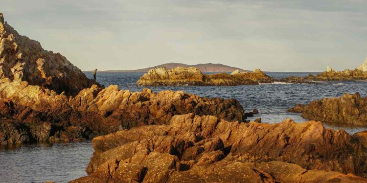 Argentina’s Newest Park Is the Size of Yosemite National Park