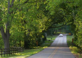 Louisiana Named the Worst State for Road Rage