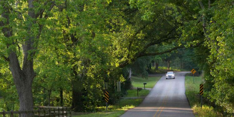 Louisiana Named the Worst State for Road Rage