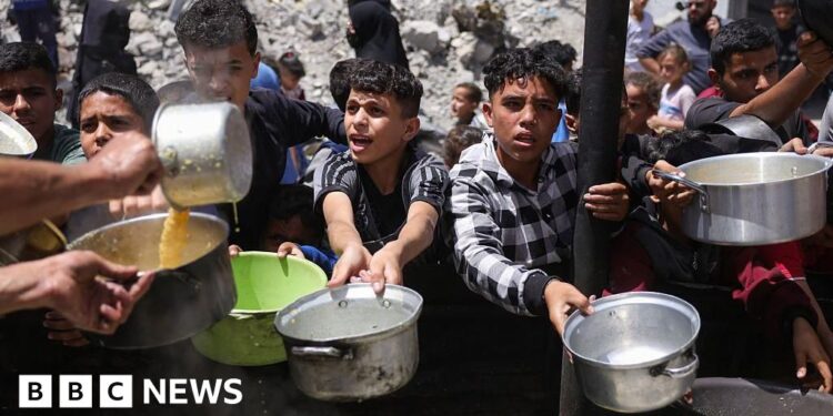 Head of controversial Israel-backed Gaza aid group resigns