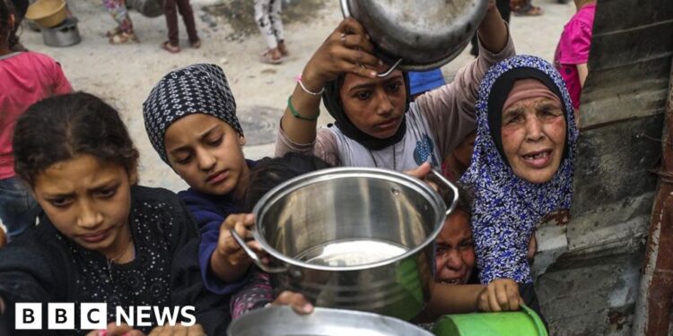 Gaza being subjected to forced starvation, top UN official tells BBC