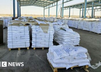 UN says no aid yet distributed in Gaza as international pressure on Israel mounts