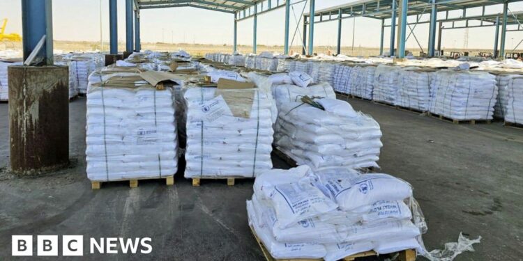 UN says no aid yet distributed in Gaza as international pressure on Israel mounts