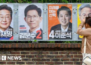 A simple guide to the 2025 presidential election