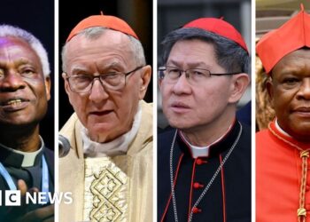 Who will be the next Pope? The top candidates in an unpredictable process