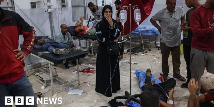 UN condemns Gaza aid ‘death trap’ as dozens reported killed by Israeli fire