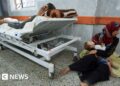 Dozens killed while seeking aid in Gaza, hospitals say
