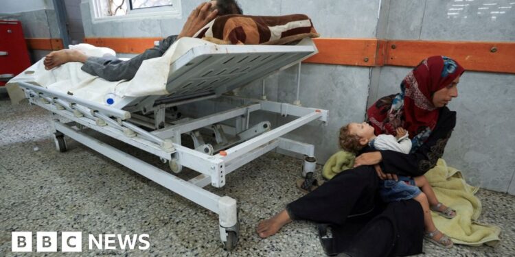 Dozens killed while seeking aid in Gaza, hospitals say