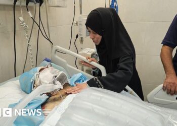 Gaza doctor whose nine children were killed in Israeli strike dies from injuries