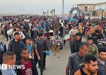 UN calls for investigation into killings near Gaza aid site