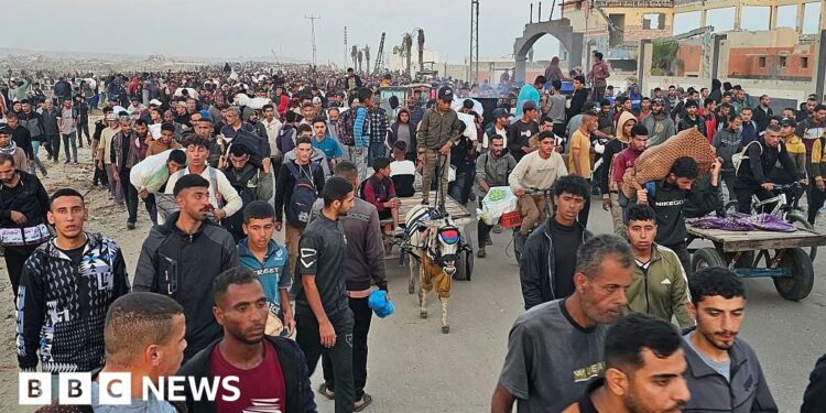 UN calls for investigation into killings near Gaza aid site