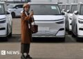 How China made electric vehicles mainstream