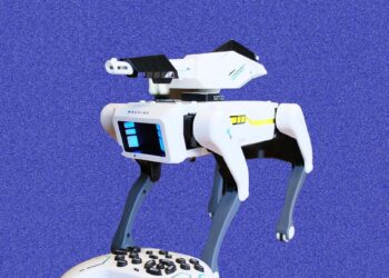 We Bought a ‘Peeing’ Robot Attack Dog From Temu. It Was Even Weirder Than Expected