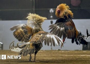 Search for 34 missing gamblers points to Taal lake