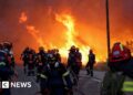 Wildfires rage on Greek island
