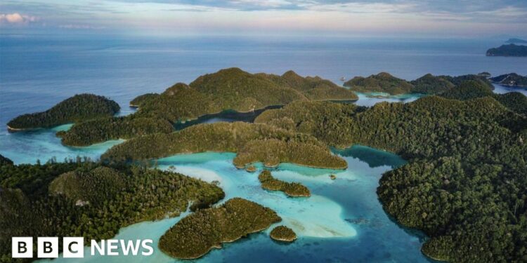 How a race for electric vehicles threatens a marine paradise