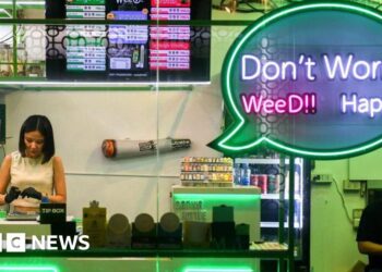 Thailand’s ‘weed wild west’ faces new rules as smuggling to UK rises