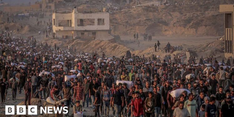 Israeli military investigates ‘reports of harm to civilians’ after hundreds killed near Gaza aid sites