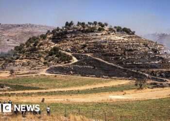 Two Palestinians killed in West Bank settler attack, health ministry says