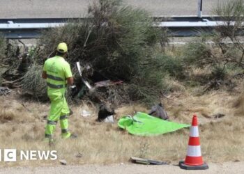 Diogo Jota’s car likely speeding before accident