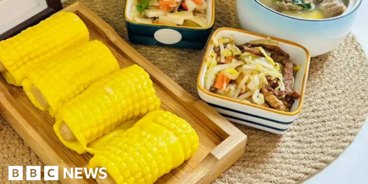 Investigation finds cover-up as six arrested