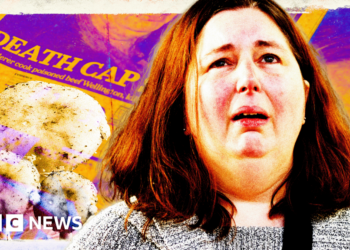 How ‘super sleuth’ Erin Patterson became true crime obsession