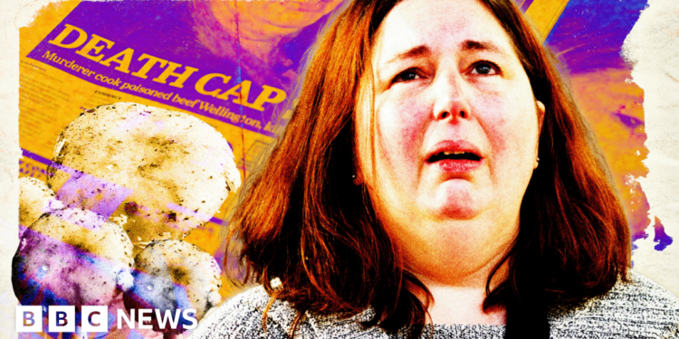 How ‘super sleuth’ Erin Patterson became true crime obsession