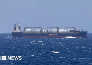 Two crew killed in attack on cargo ship in Red Sea
