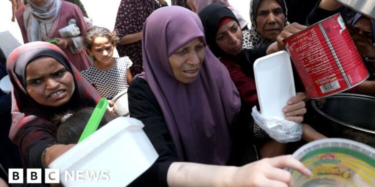 Israeli, US-backed Gaza aid group must end, say 130 charities