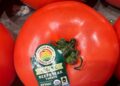 Trump slaps 17 percent tariff on tomatoes from Mexico | Trade War