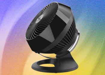 The 13 Best Fans for the Coolest Summer (2025)