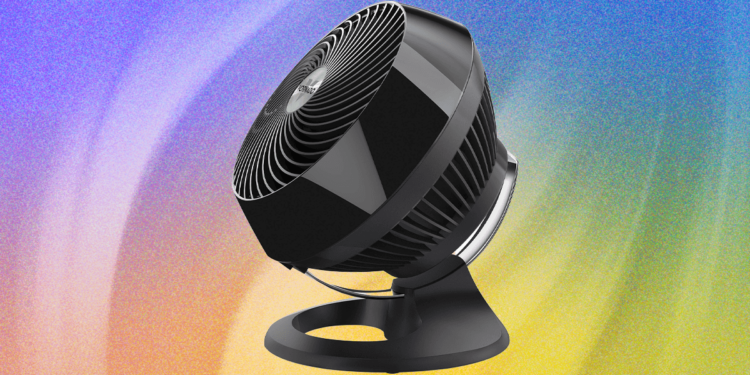 The 13 Best Fans for the Coolest Summer (2025)