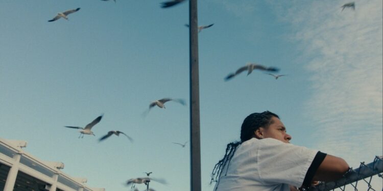 Salaud Morisset Boards Sundance Film ‘Mad Bills to Pay’