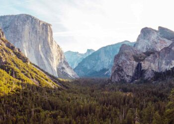 Yellowstone National Park Has a New Natural Wonder