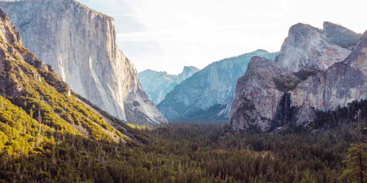 Yellowstone National Park Has a New Natural Wonder