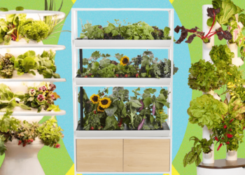 Best Indoor Garden Systems (2025), Tested and Reviewed