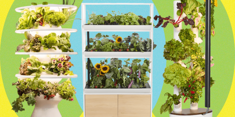 Best Indoor Garden Systems (2025), Tested and Reviewed