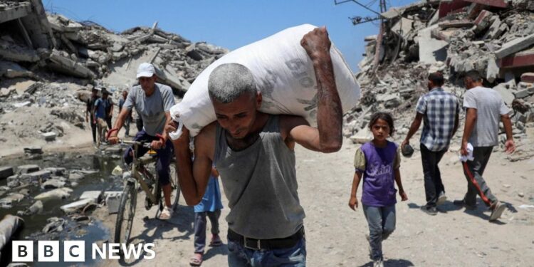 Gaza experiencing ‘real starvation’, Donald Trump says