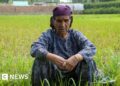 Kashmir’s summers are getting hotter, taking a toll on people and farms