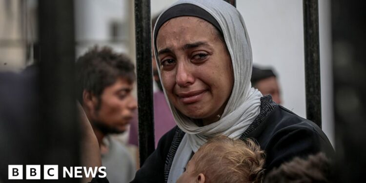 Dozens killed seeking food in Gaza, hospital says, as Witkoff arrives in Israel