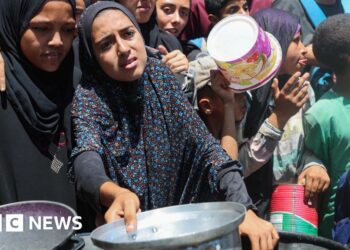 Almost a third of people in Gaza ‘not eating for days,’ UN warns