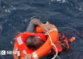 Yemen Houthis sink second Red Sea cargo ship in a week