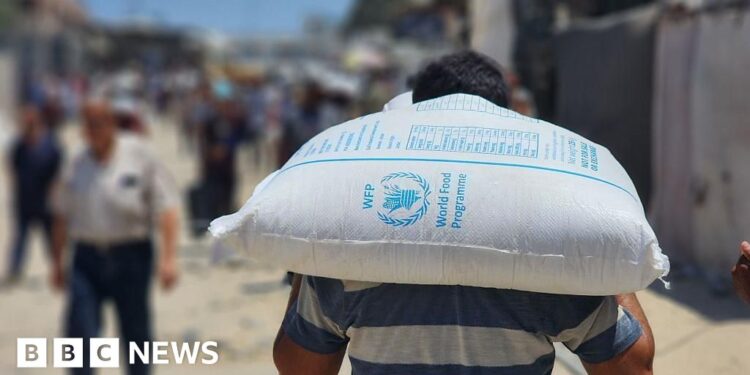 BBC News and news agencies warn journalists in Gaza at risk of starvation