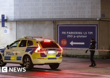 Three jailed over murder of Swedish hip-hop star C Gambino