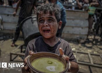 ‘My youngest child doesn’t know what fruit tastes like’