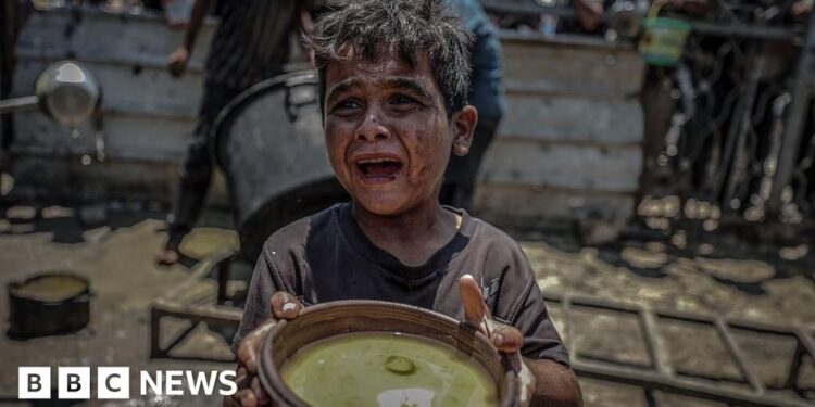 ‘My youngest child doesn’t know what fruit tastes like’