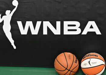 WNBA fan accused of throwing sex toy faces multiple charges
